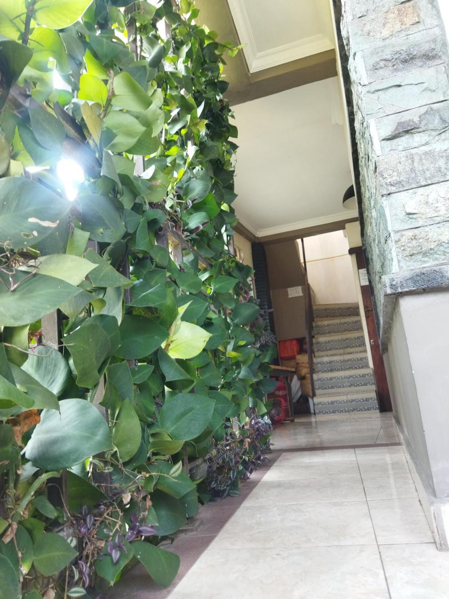 Wahwik'S House Hotel Ubud Exterior foto